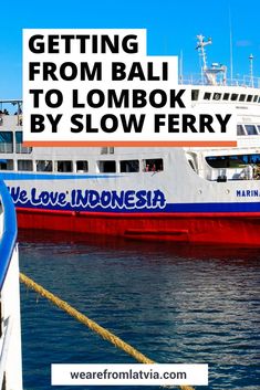 Книга на английском - Learning to Work on a Cruise Ship: Accounts from Bali - обложка книги скачать бесплатно